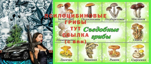ГАЛЛЮЦИНОГЕННЫЕ ГРИБЫ Богородицк