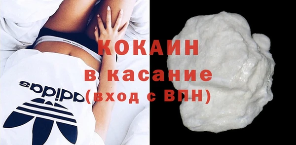 гидра Корсаков