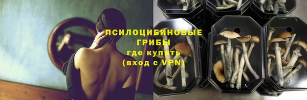 ГАЛЛЮЦИНОГЕННЫЕ ГРИБЫ Богородицк