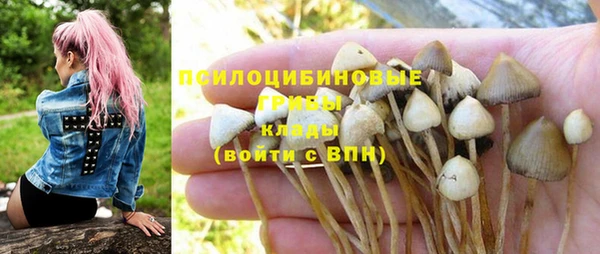 ГАЛЛЮЦИНОГЕННЫЕ ГРИБЫ Богородицк