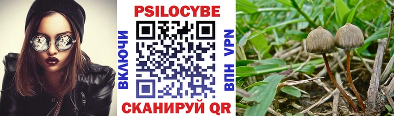 магазин продажи наркотиков KRAKEN сайт Псилоцибиновые грибы прущие грибы Богородицк