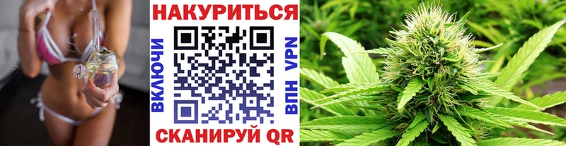 где продают наркотики  Богородицк  Бошки марихуана SATIVA & INDICA 
